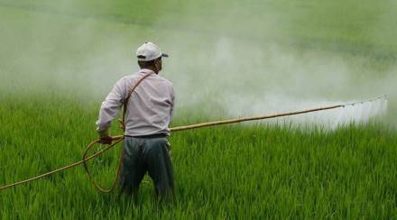 fertiliser