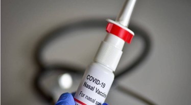 Bharat biotech, BBV154, Bharat Biotech intranasal vaccine, inovacc, health news, pharma news,