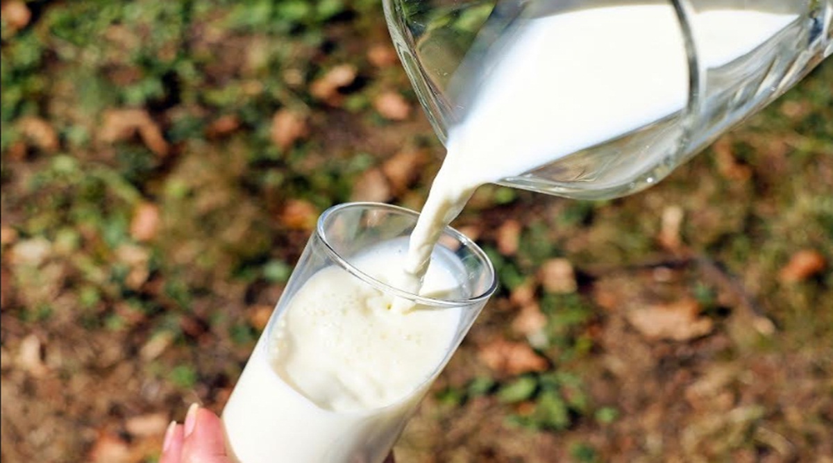 milk product
