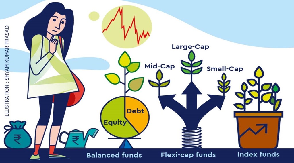 portfolio investment
