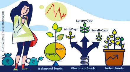 portfolio investment