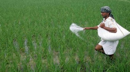 fertiliser price