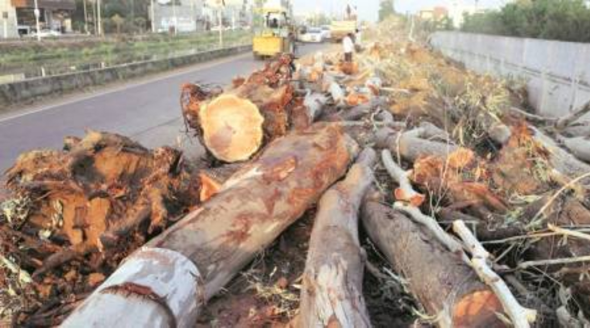 Time to assign high priority to Environmental Crimes!