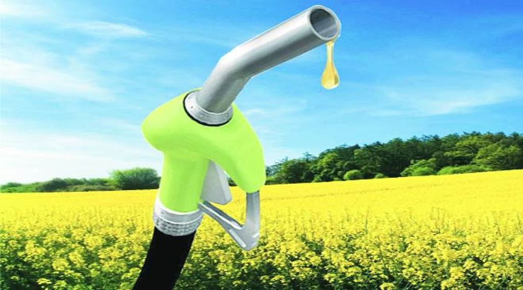 Punjab minister bats for generating green energy, biofuel from