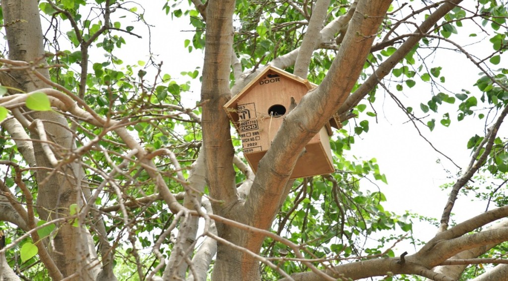 "We have tried to give them nesting places and food sources in the 'Goraiya Gram'. We do not only want to increase the green cover in Delhi but create a healthy ecological system and give a suitable environment to birds and animals," he said. (Twitter image)