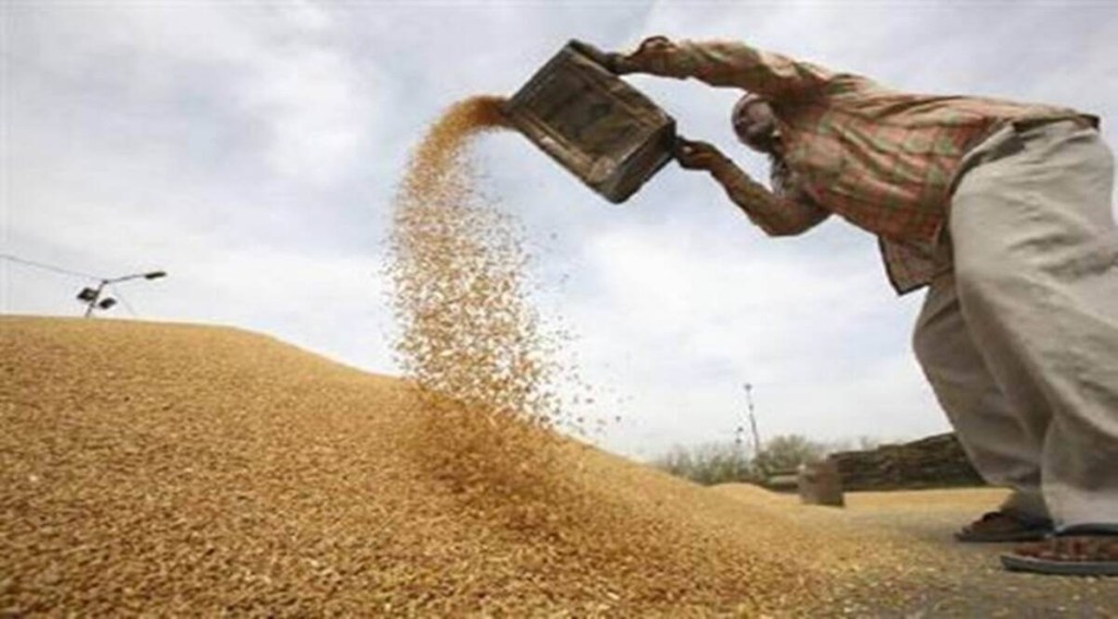 FCI floats tender to build silos, private investment seen at Rs 720 cr Economy News The