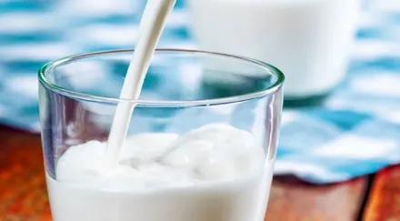 Revenue growth of the organised dairy sector this financial year will be a notch below the last fiscal's 13 per cent growth, according to the report by Crisil Ratings.