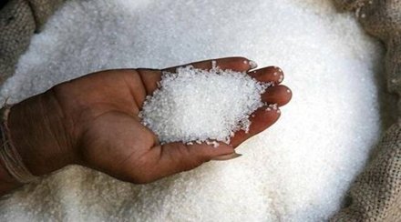 Brazil is the largest exporter of sugar, constituting 35-45 per cent of the global trade, and a fall in its exports in the current season could result in India's share rising to around 15 per cent, the Ind-Ra report stated.