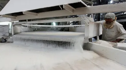 Sugar exports, sugar