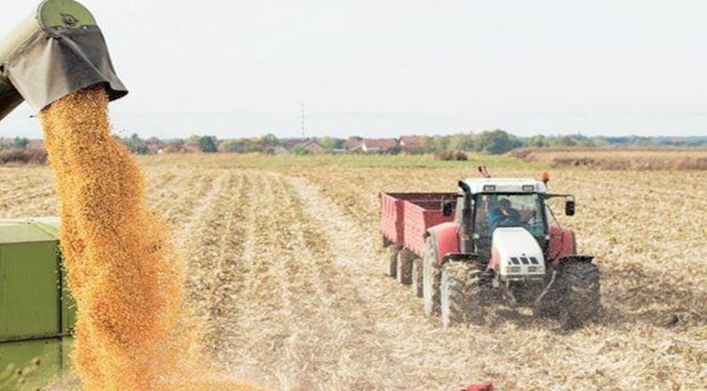 The FCI as of May 1, 2022, had rice stock of more than 33 MT against the buffer norm of 13.54 MT for the month of July. 