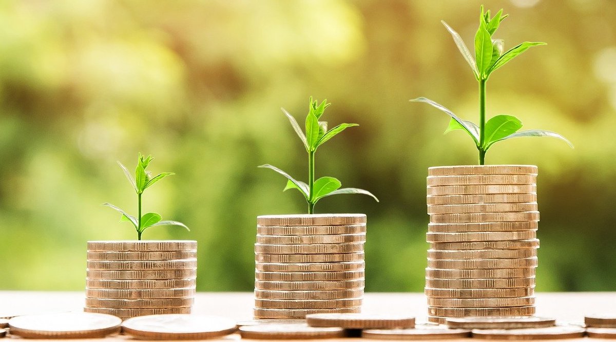 Funding information for NRIs and OCIs: Tips on how to construct a strong portfolio throughout unstable occasions