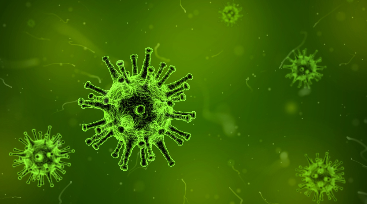 Is it possible to get infected by coronavirus and monkeypox at the same time? Experts weigh in