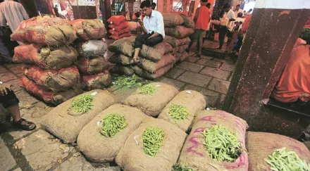 It also asked states to follow an open tendering process to cut costs of short-term loans and move paddy stocks from procurement points directly to mills.