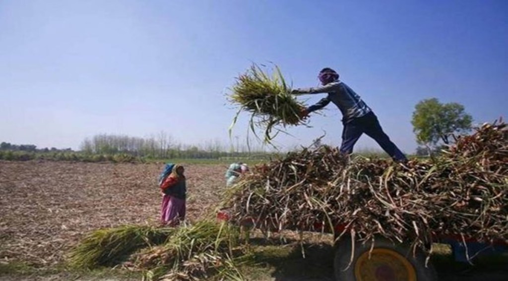 The previous two restructuring schemes aimed at salvaging the company had failed.