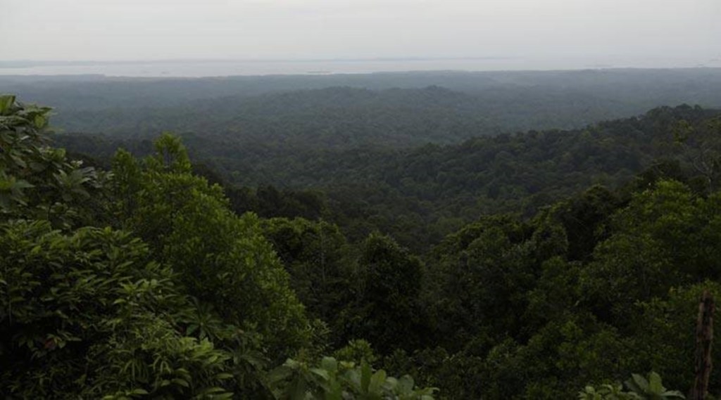 The Aravalis are critical for the national capital region in terms of sustainability, not just as a haven for biodiversity, but also groundwater recharge (IE)