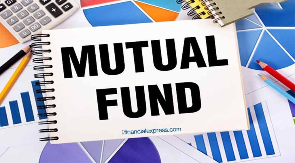 The allocation to international equities can be made through globally diversified equity funds or geography focused funds such US, Europe and emerging markets dedicated funds.