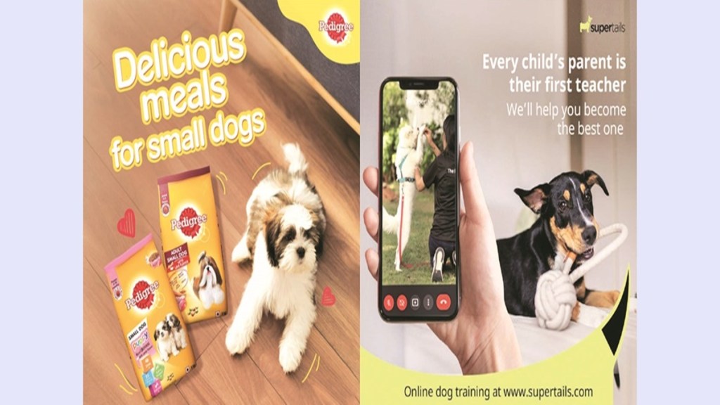 A substantial part of the overall pet care segment, pet food (estimated at `2,500 crore) is dominated by companies such as Himalaya Wellness and Mars Petcare, a division of Mars Inc., which houses brands like Pedigree, Whiskas, Royal Canin, Sheba and Chappi.