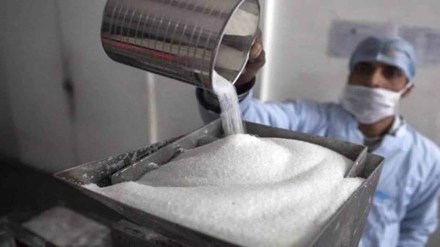 sugar exports, sugar exports from india, sugar exports in first transche