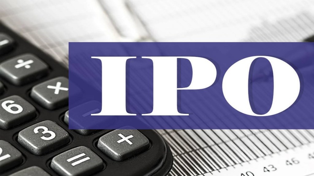 Electronics Mart India, IPO