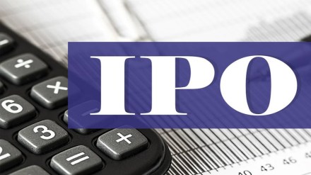 Electronics Mart India, IPO