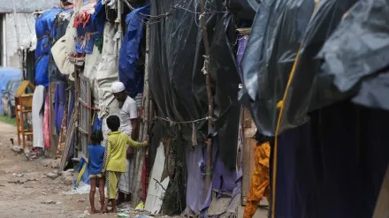 War and political instability have created, chaotic flows of refugees and other migrants, and have been one of the foremost causes of national populism. (Express photo by Gajendra Yadav)