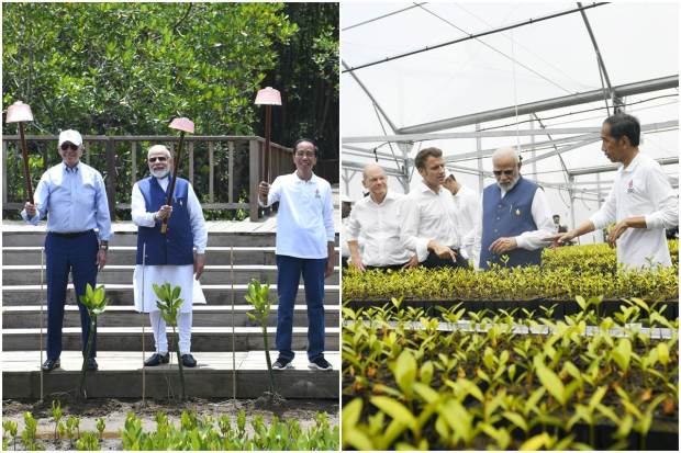 PM Narendra Modi and other G20 leaders visited a mangrove forest in Bali, giving a strong message of coming together to tackle climate change and boost sustainable development. India has also joined the Mangrove Alliance for Climate. (Photo: Twitter/MEA)