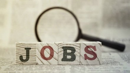 The IT services sector had its sharpest y-o-y drop of 50% in active jobs volume over October 2021, which is the lowest in three years. (IE)