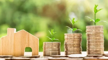 Non-Resident Indian, NRI, NRI investors, direct equity, low-risk investment, mutual fund, MF, Micro VC funds, real estate, startups