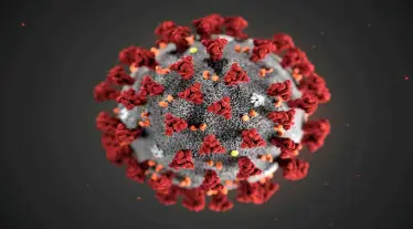Bharat Biotech, COVID-19 vaccines, Bharat Biotech booster dose, CO-WIN app, CDSCO, health news,