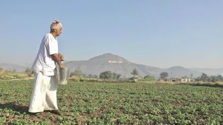 farmers income, agriculture sector