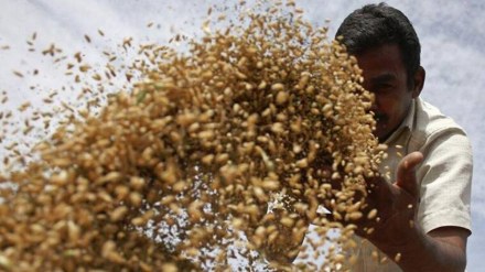 National Food Security Act, economy
