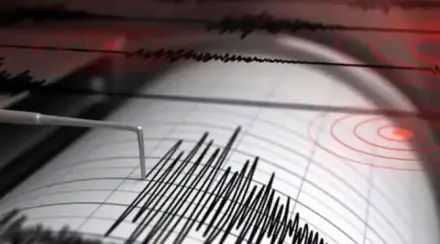 Quake, Delhi