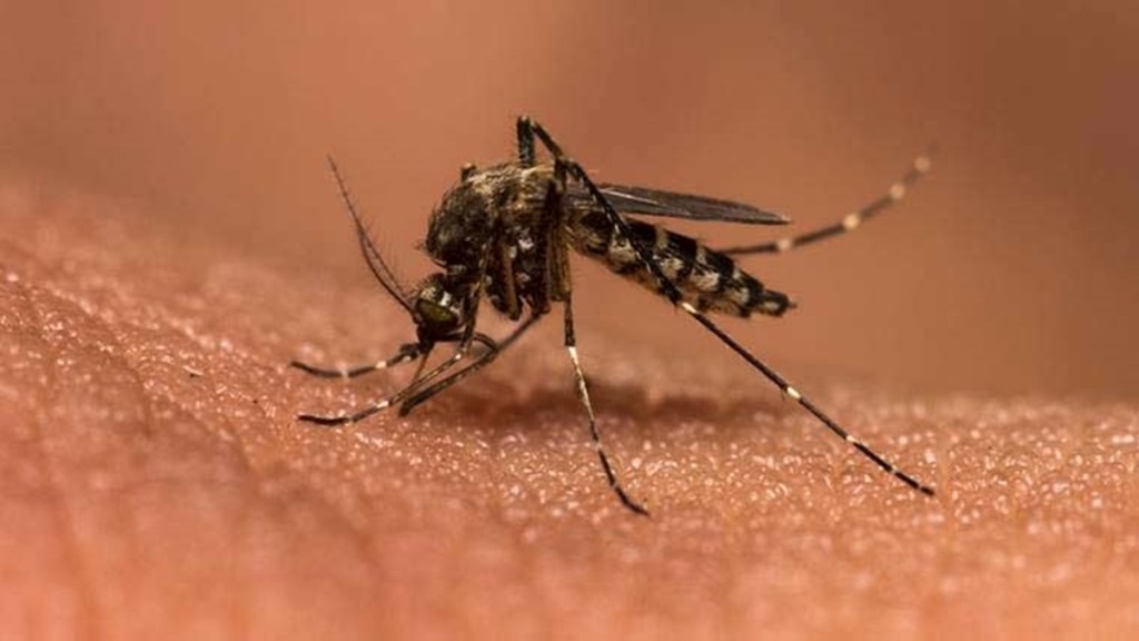 Zika Virus Karnataka reports first case of infection in 5yearold
