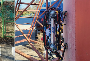 robot dog