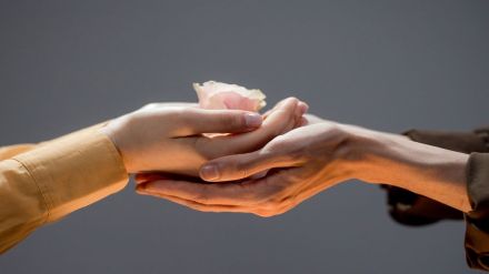 philanthropy, ngo, sustainable goals, sdg