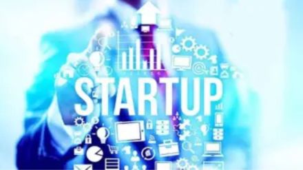 Survey Spur reverse flipping by start-ups