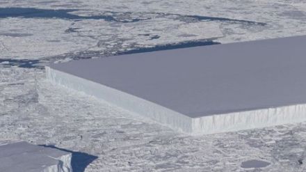Iceberg