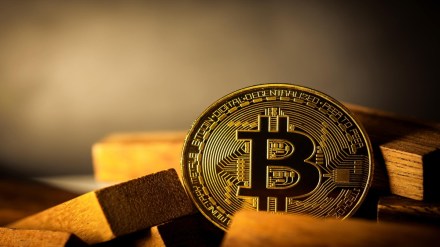 It is to be further noted that the traditional financial markets reacted sharply to the development as the stocks rallied owing to the signs of easing inflation.