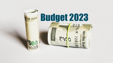 Budget 2023 expectations of NRIs