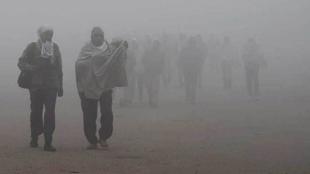 Intense cold wave, dense fog to grip north India in first week of 2023