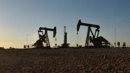 oil sector, oil industry
