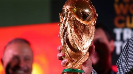 FIFA, FIFA World Cup