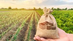 Agri startup fund to help increase yield, market linkages