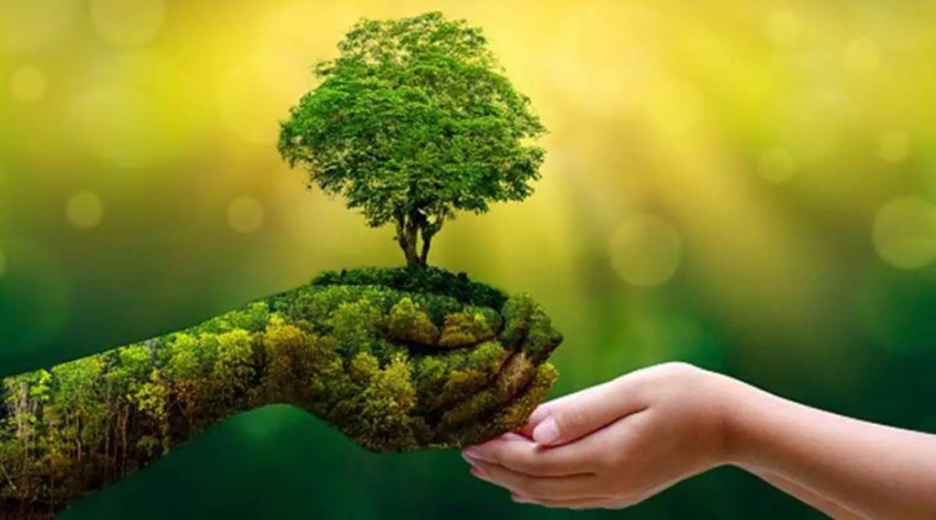 Sandeep Choudhary, Save Earth Activist, who is Sandeep Choudhary, Save Earth Activist lifestyle