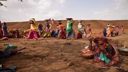 This year's allocation is the lowest seen in the last four budgets presented by the Modi government. (File Image)