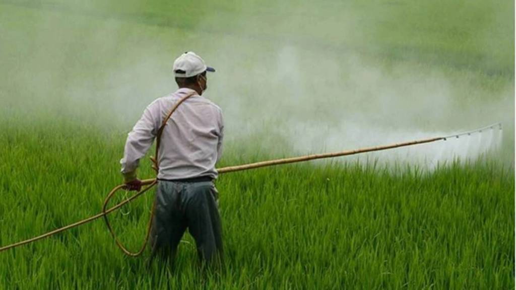 nano-diammonium phosphate