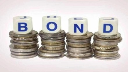 investor, investment, retail investor, angel investor