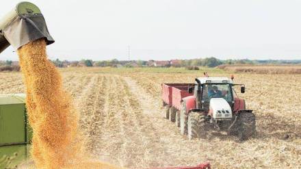 agriculture