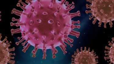 coronavirus pandemic, viral infection, antibiotics, healthcare news, covid news,