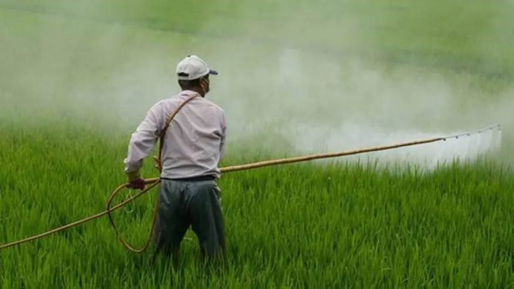 fertilizer, fertilizer subsidy